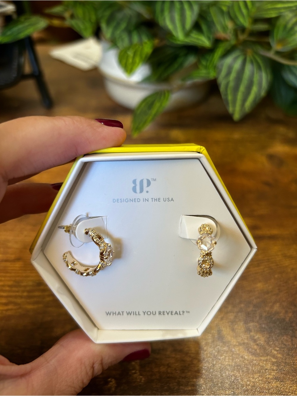 Bomb Party OG “Line of Power” Gold & Diamond CZ Hoop Earrings